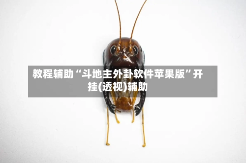 教程辅助“斗地主外卦软件苹果版”开挂(透视)辅助-第1张图片