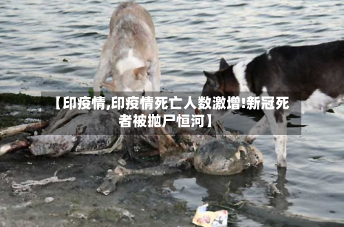 【印疫情,印疫情死亡人数激增!新冠死者被抛尸恒河】-第1张图片