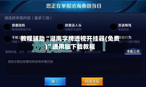 教程辅助“湖南字牌透视开挂器(免费)	”通用版下载教程-第1张图片