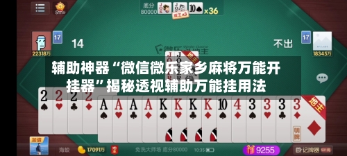 辅助神器“微信微乐家乡麻将万能开挂器	”揭秘透视辅助万能挂用法-第1张图片