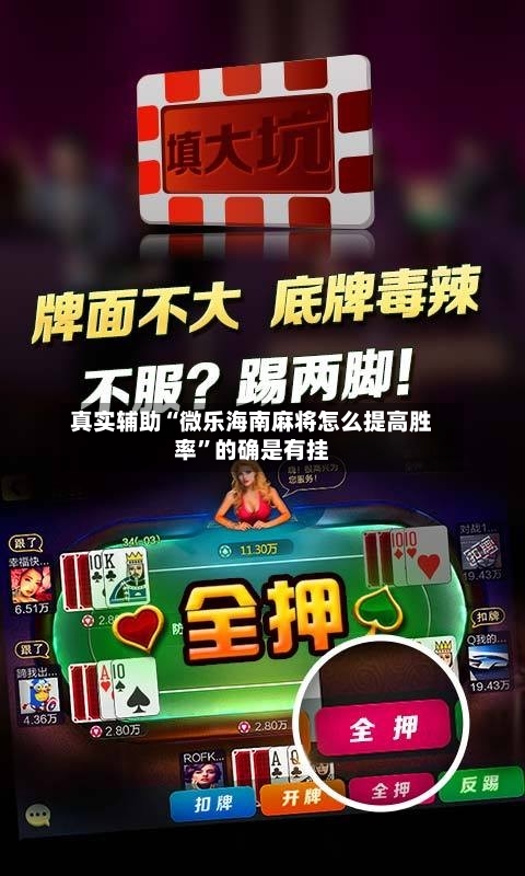 真实辅助“微乐海南麻将怎么提高胜率	”的确是有挂-第1张图片
