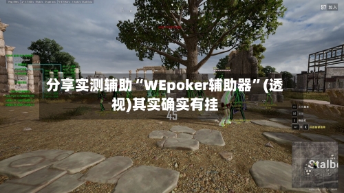 分享实测辅助“WEpoker辅助器	”(透视)其实确实有挂-第1张图片
