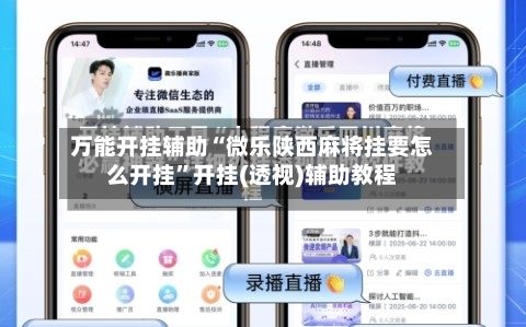 万能开挂辅助“微乐陕西麻将挂要怎么开挂	”开挂(透视)辅助教程-第1张图片