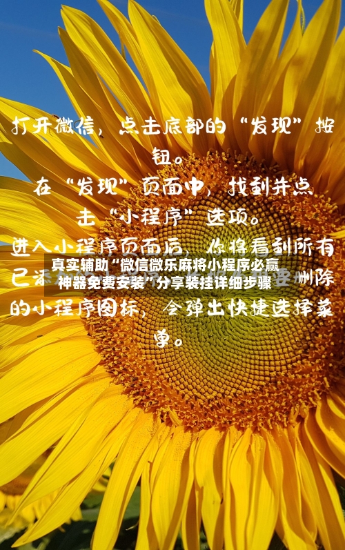 真实辅助“微信微乐麻将小程序必赢神器免费安装”分享装挂详细步骤-第1张图片