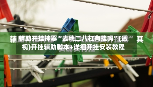 辅助开挂神器“麦穗二八杠有挂吗	”(透视)开挂辅助脚本+详细开挂安装教程-第1张图片