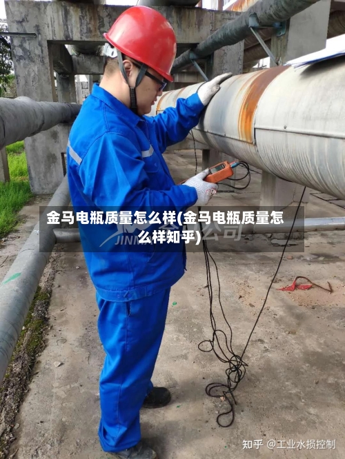 金马电瓶质量怎么样(金马电瓶质量怎么样知乎)-第1张图片