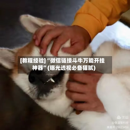 [教程经验]“微信链接斗牛万能开挂神器”(曝光透视必备猫腻)-第1张图片