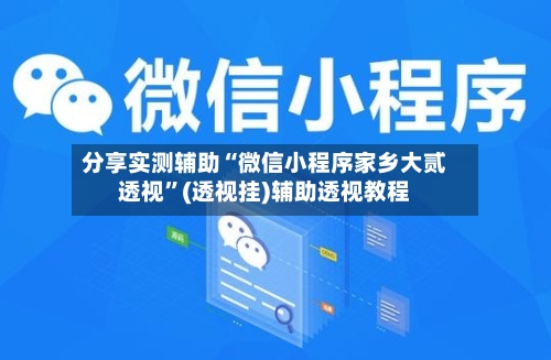 分享实测辅助“微信小程序家乡大贰透视	”(透视挂)辅助透视教程-第1张图片