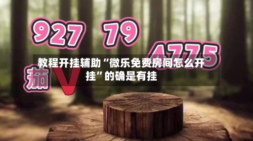 教程开挂辅助“微乐免费房间怎么开挂”的确是有挂-第1张图片