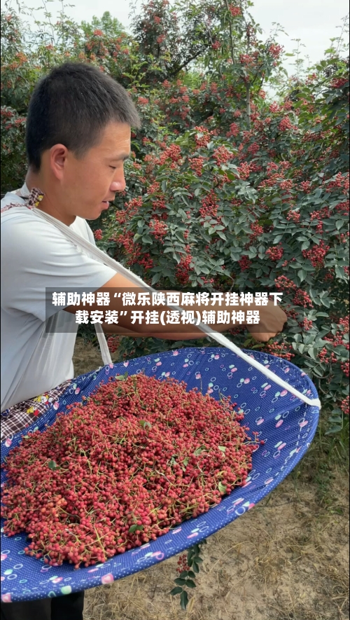 辅助神器“微乐陕西麻将开挂神器下载安装”开挂(透视)辅助神器-第1张图片