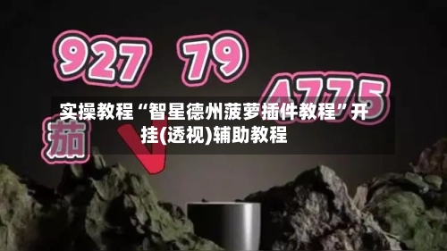 实操教程“智星德州菠萝插件教程”开挂(透视)辅助教程-第1张图片