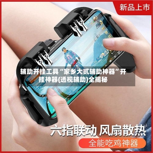 辅助开挂工具“家乡大贰辅助神器”开挂神器{透视辅助}全揭秘-第1张图片