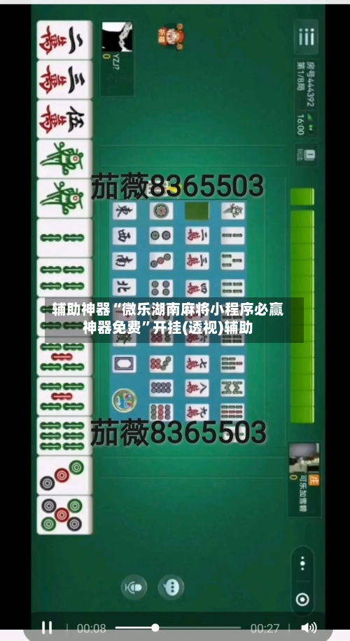 辅助神器“微乐湖南麻将小程序必赢神器免费”开挂(透视)辅助-第1张图片