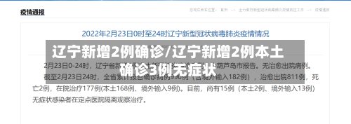 辽宁新增2例确诊/辽宁新增2例本土确诊3例无症状-第1张图片