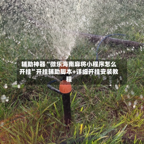 辅助神器“微乐海南麻将小程序怎么开挂	”开挂辅助脚本+详细开挂安装教程-第1张图片