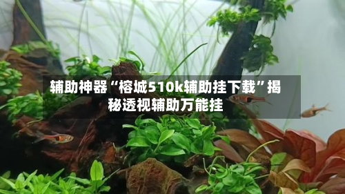 辅助神器“榕城510k辅助挂下载	”揭秘透视辅助万能挂-第1张图片