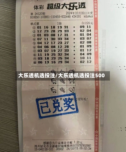 大乐透机选投注/大乐透机选投注500-第1张图片