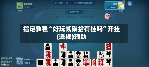 指定教程“好玩贰柒拾有挂吗”开挂(透视)辅助-第1张图片