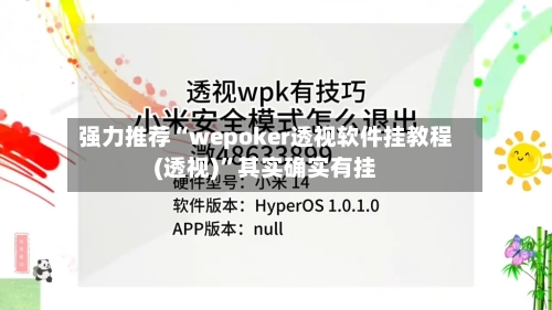 强力推荐“wepoker透视软件挂教程(透视)”其实确实有挂-第1张图片