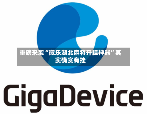 重磅来袭“微乐湖北麻将开挂神器	”其实确实有挂-第1张图片
