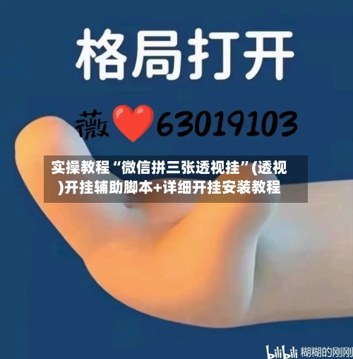 实操教程“微信拼三张透视挂”(透视)开挂辅助脚本+详细开挂安装教程-第1张图片