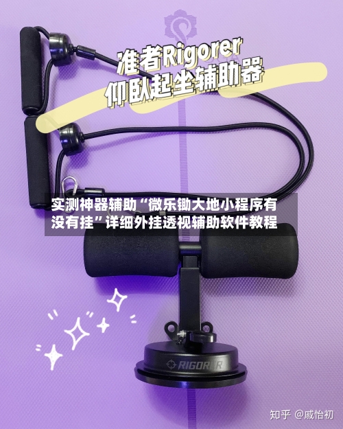 实测神器辅助“微乐锄大地小程序有没有挂”详细外挂透视辅助软件教程-第1张图片