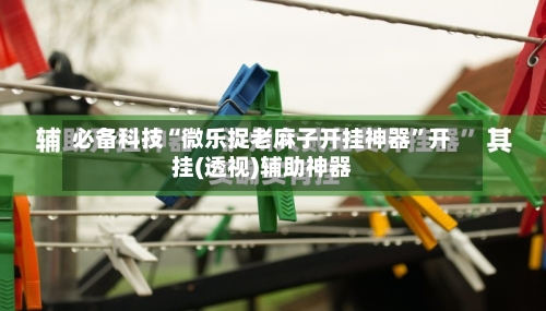 必备科技“微乐捉老麻子开挂神器	”开挂(透视)辅助神器-第1张图片