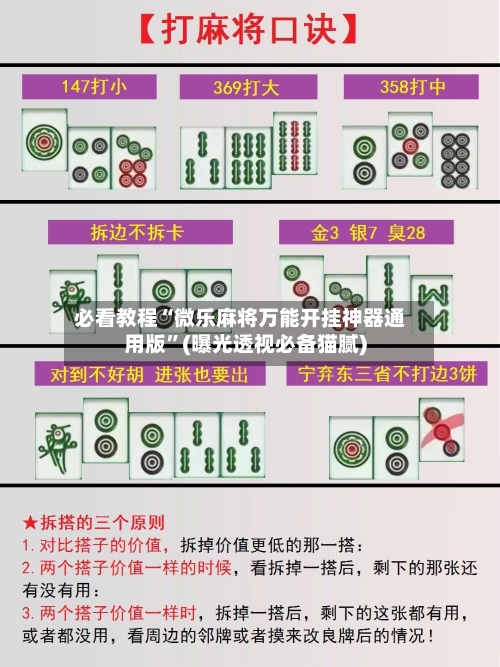 必看教程“微乐麻将万能开挂神器通用版	”(曝光透视必备猫腻)-第1张图片