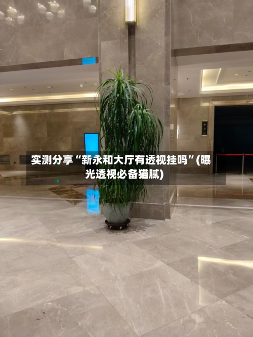 实测分享“新永和大厅有透视挂吗	”(曝光透视必备猫腻)-第1张图片