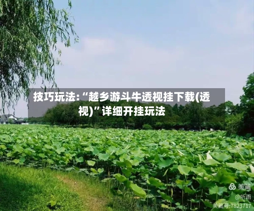 技巧玩法:“越乡游斗牛透视挂下载(透视)”详细开挂玩法-第1张图片