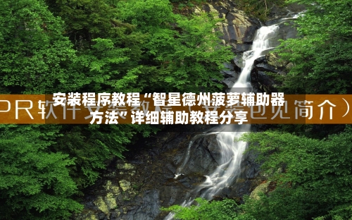 安装程序教程“智星德州菠萝辅助器方法”详细辅助教程分享-第1张图片