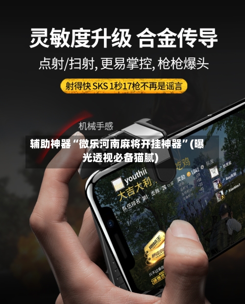 辅助神器“微乐河南麻将开挂神器”(曝光透视必备猫腻)-第1张图片