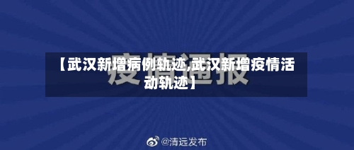 【武汉新增病例轨迹,武汉新增疫情活动轨迹】-第1张图片