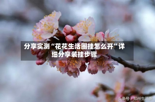 分享实测“花花生活圈挂怎么开”详细分享装挂步骤-第1张图片