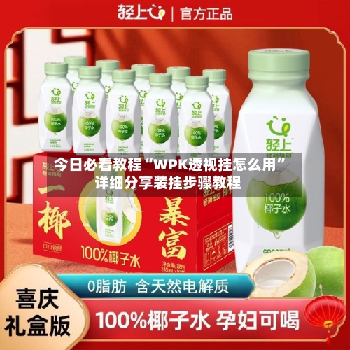 今日必看教程“WPK透视挂怎么用	”详细分享装挂步骤教程-第1张图片