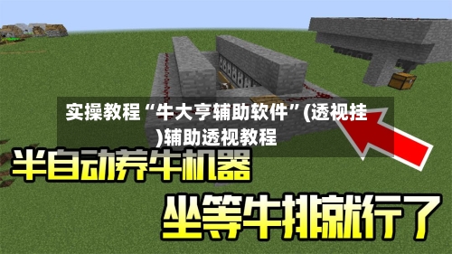 实操教程“牛大亨辅助软件	”(透视挂)辅助透视教程-第1张图片