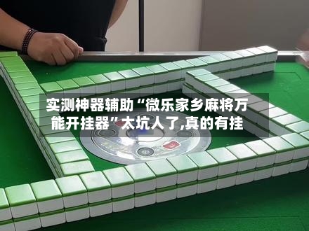 实测神器辅助“微乐家乡麻将万能开挂器”太坑人了,真的有挂-第1张图片