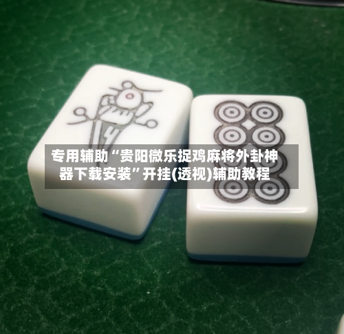 专用辅助“贵阳微乐捉鸡麻将外卦神器下载安装	”开挂(透视)辅助教程-第1张图片