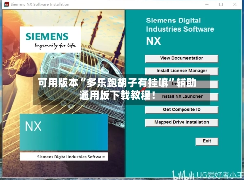 可用版本“多乐跑胡子有挂嘛”辅助通用版下载教程！-第1张图片