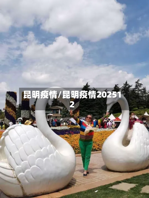 昆明疫情/昆明疫情202512-第1张图片
