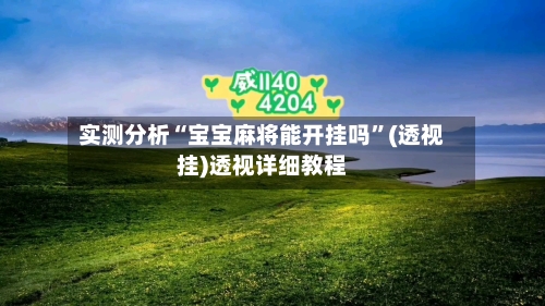 实测分析“宝宝麻将能开挂吗”(透视挂)透视详细教程-第1张图片