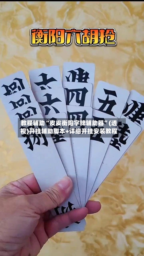 教程辅助“皮皮衡阳字牌辅助器	”(透视)开挂辅助脚本+详细开挂安装教程-第1张图片