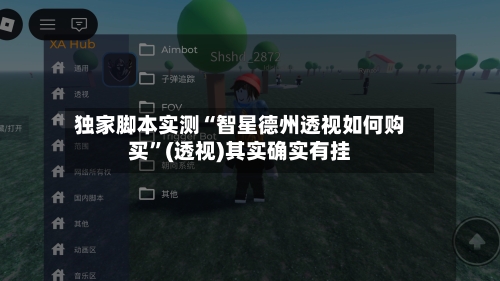 独家脚本实测“智星德州透视如何购买”(透视)其实确实有挂-第1张图片