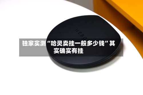 独家实测“哈灵卖挂一般多少钱”其实确实有挂-第1张图片