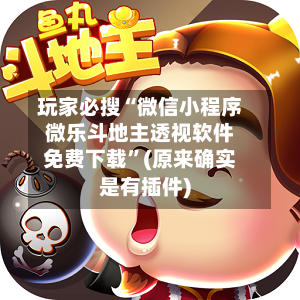 玩家必搜“微信小程序微乐斗地主透视软件免费下载	”(原来确实是有插件)-第1张图片
