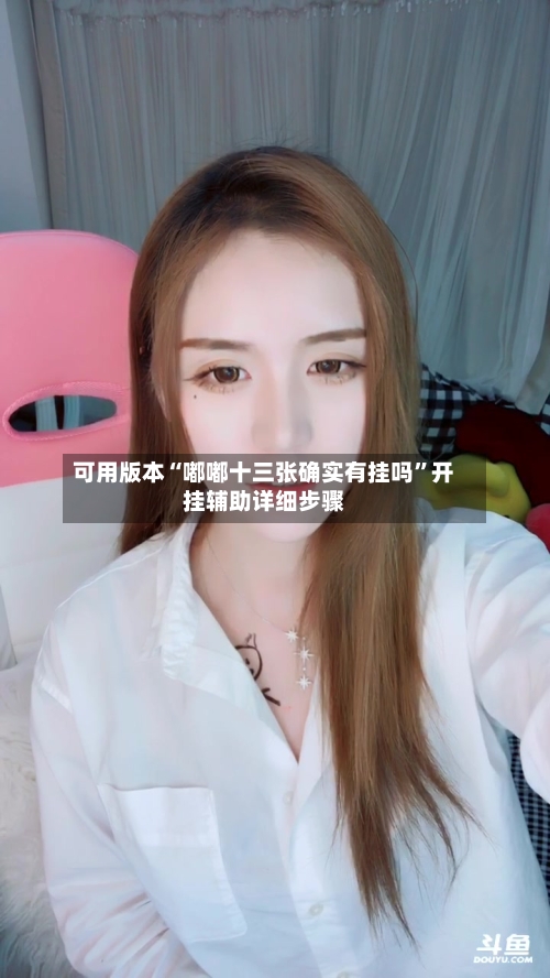 可用版本“嘟嘟十三张确实有挂吗”开挂辅助详细步骤-第1张图片