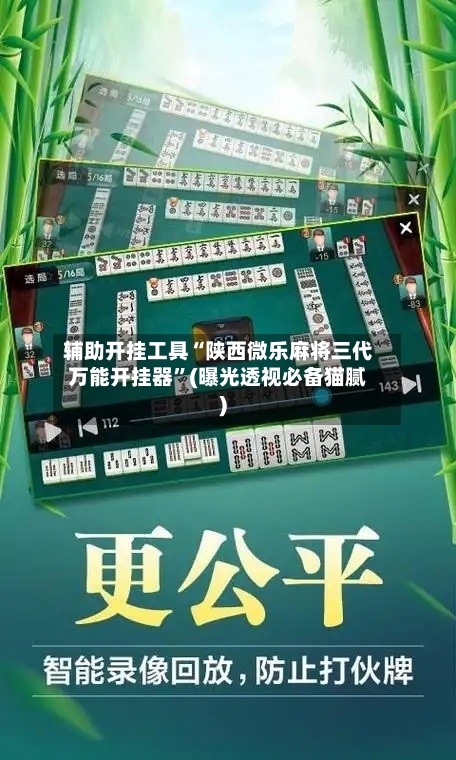 辅助开挂工具“陕西微乐麻将三代万能开挂器”(曝光透视必备猫腻)-第1张图片