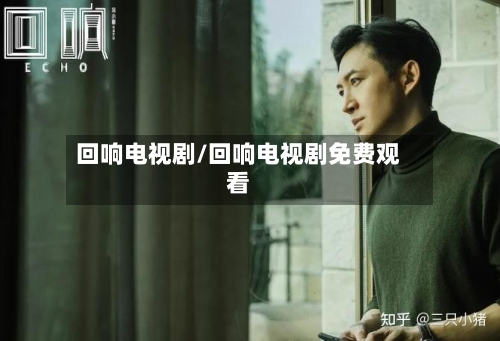 回响电视剧/回响电视剧免费观看-第1张图片