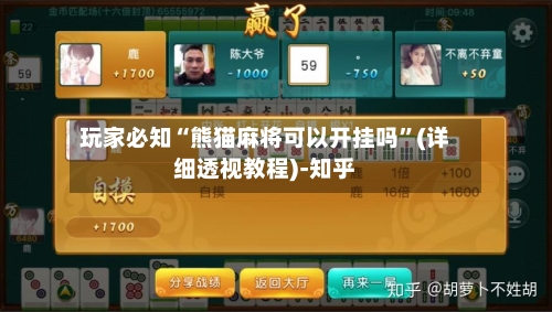 玩家必知“熊猫麻将可以开挂吗”(详细透视教程)-知乎-第1张图片