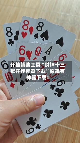 开挂辅助工具“财神十三张开挂神器下载	”原来有神器下载！-第1张图片